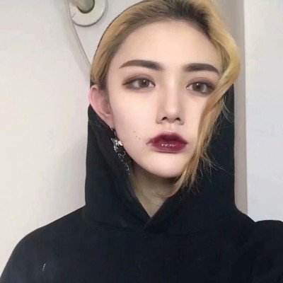 宠物王国2免费下载